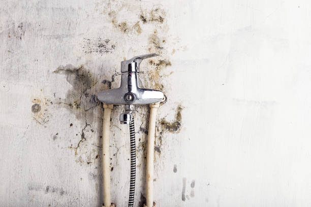 Best Health and Safety Mold Remediation in Sho Creek, AL