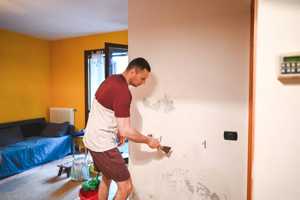 Professional Mold Remediation in Shoal Creek, AL